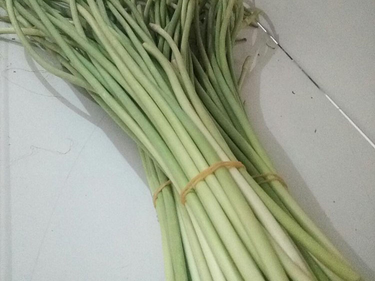 聚鑫汇 1cf47