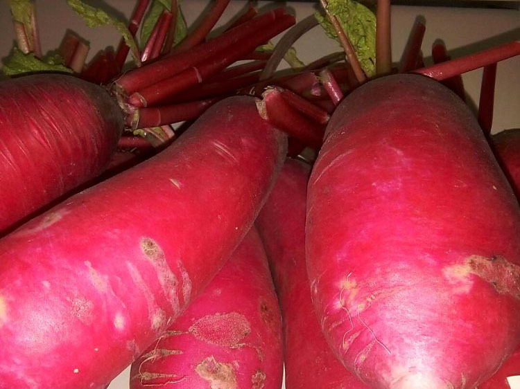 聚鑫汇 88cf9