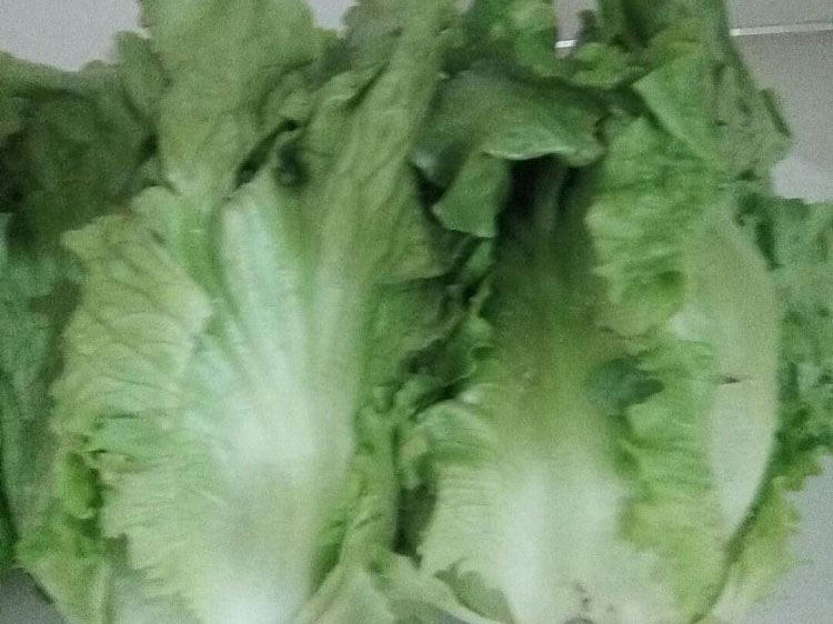 聚鑫汇 5ec28