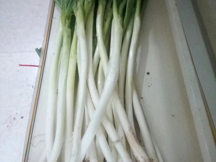聚鑫汇 fa37f