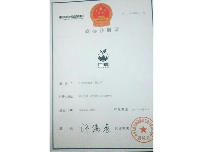 聚鑫汇 31d91