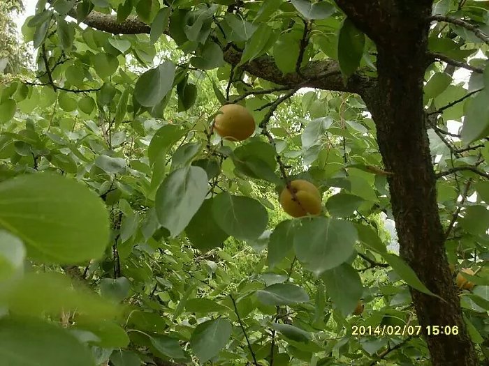 聚鑫汇 5a000
