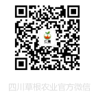 聚鑫汇 0da25