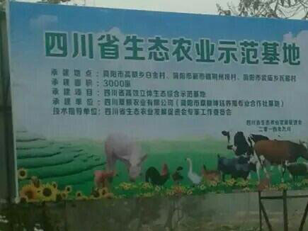 聚鑫汇 79830