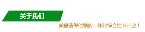 聚鑫汇 5727a