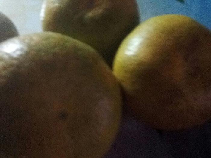 聚鑫汇 66c6f