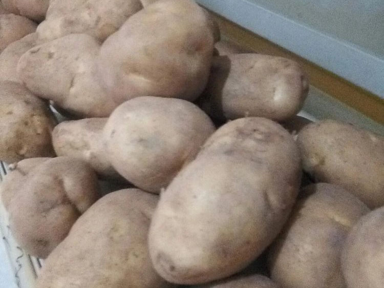 聚鑫汇 9d389