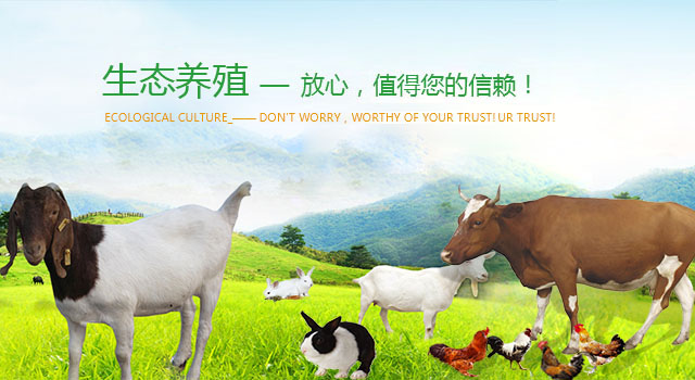 聚鑫汇 30c9c
