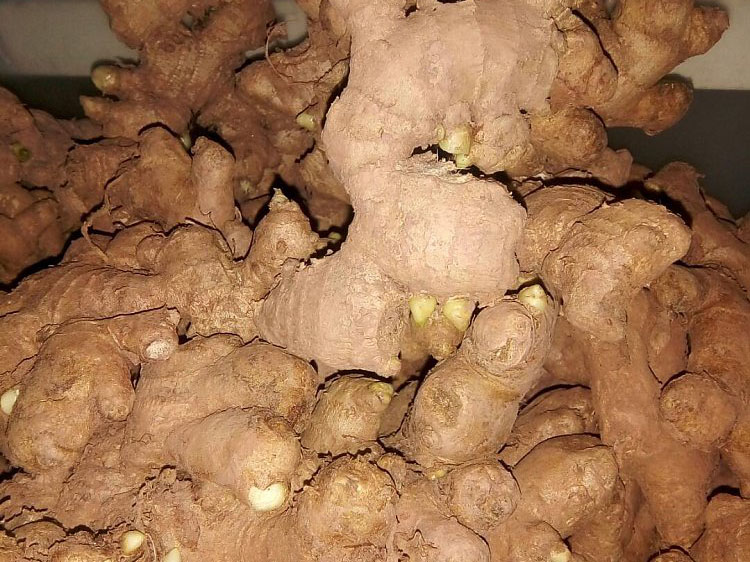 聚鑫汇 f6baa